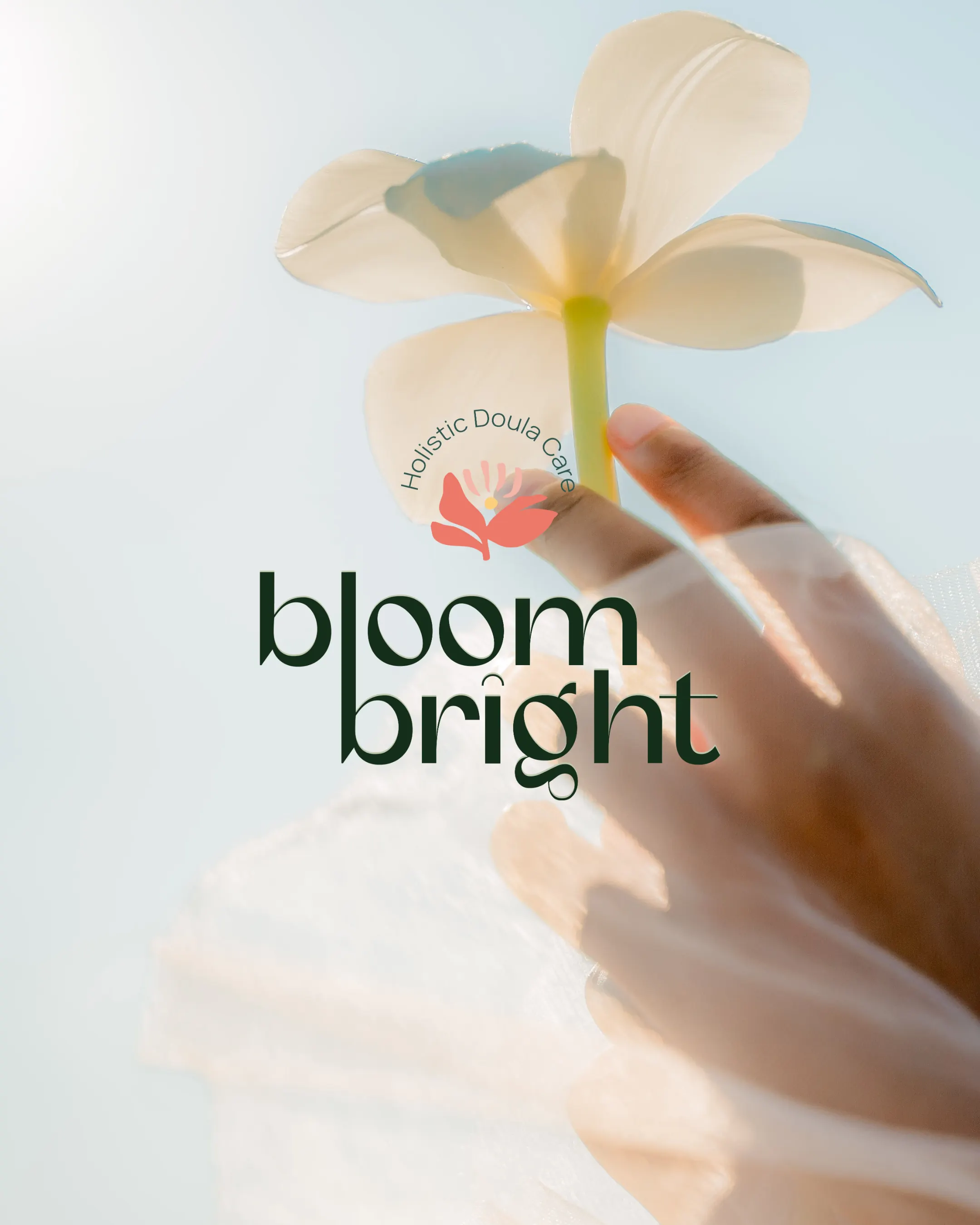 Hand hält eine helle Blüte in den Himmel, darauf das Logo Bloom Bright, madea