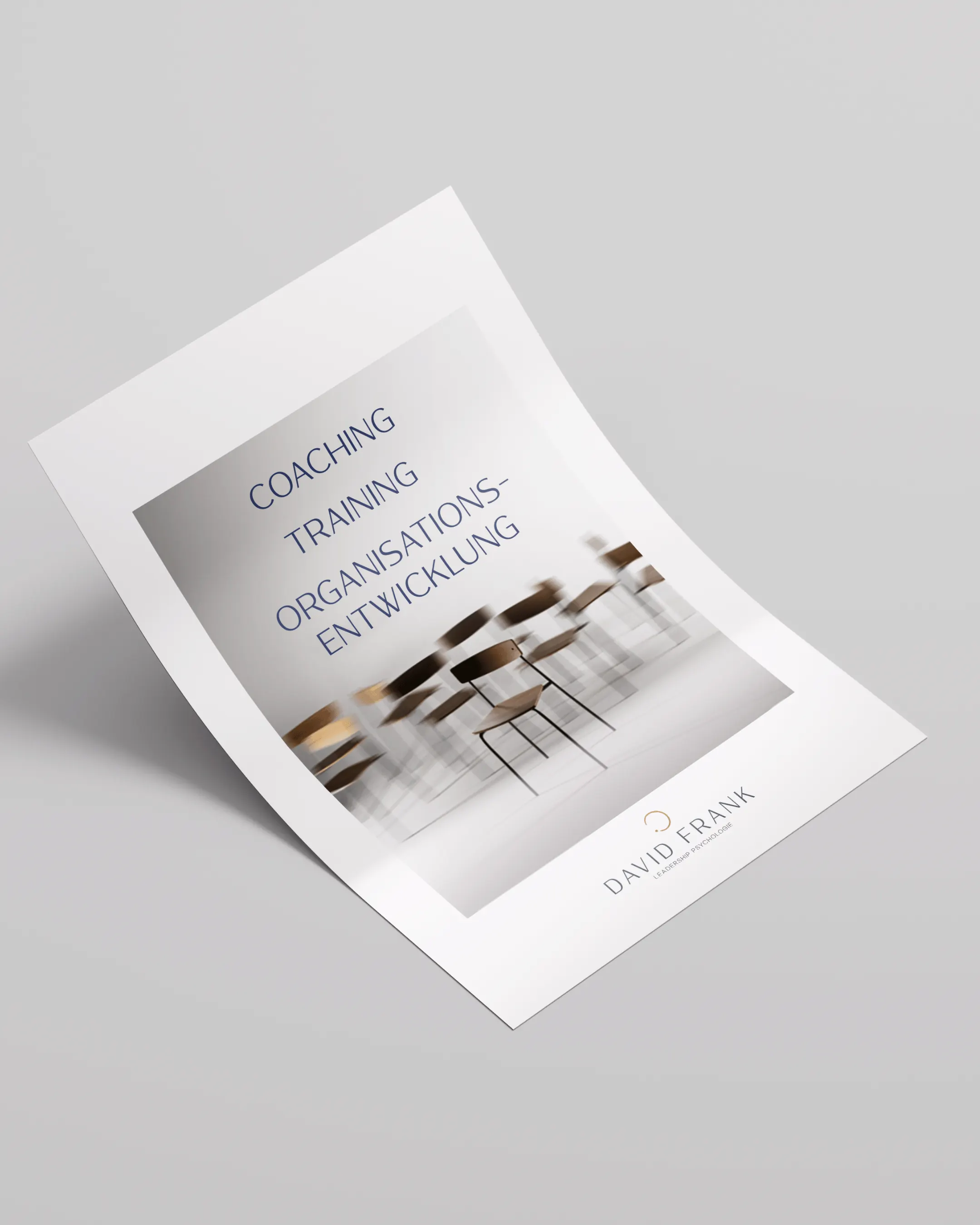 Flyer von David Frank mit Coaching, Training und Organisationsentwicklung, madea