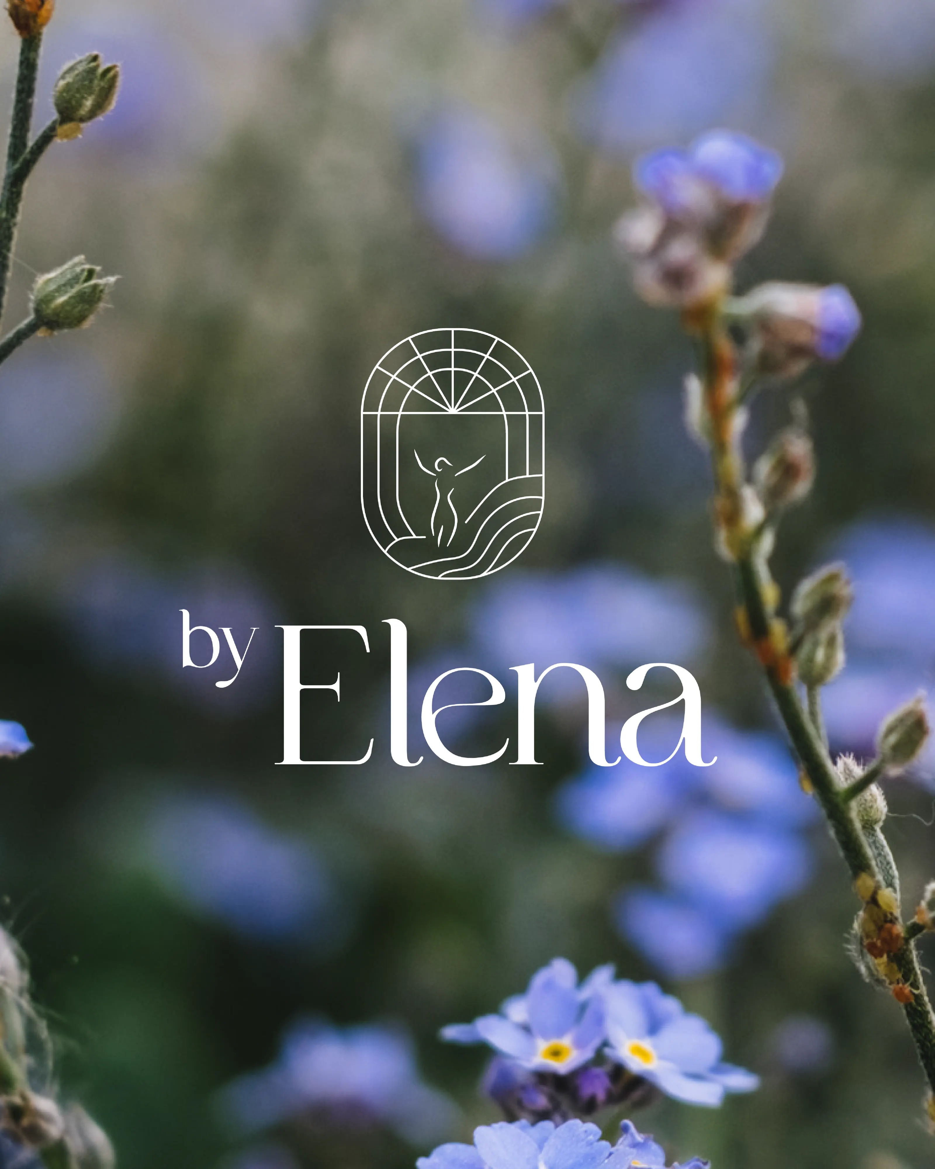 Logo by Elena in Weiß über blauen Kornblumen, madea