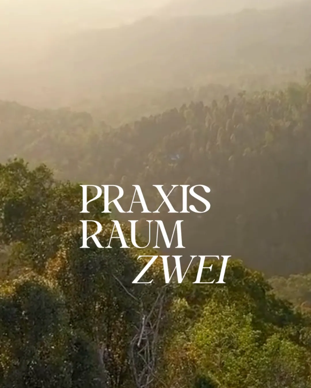 Markenauftritt Praxisraum Zwei, psychologische Praxis in Perg, madea