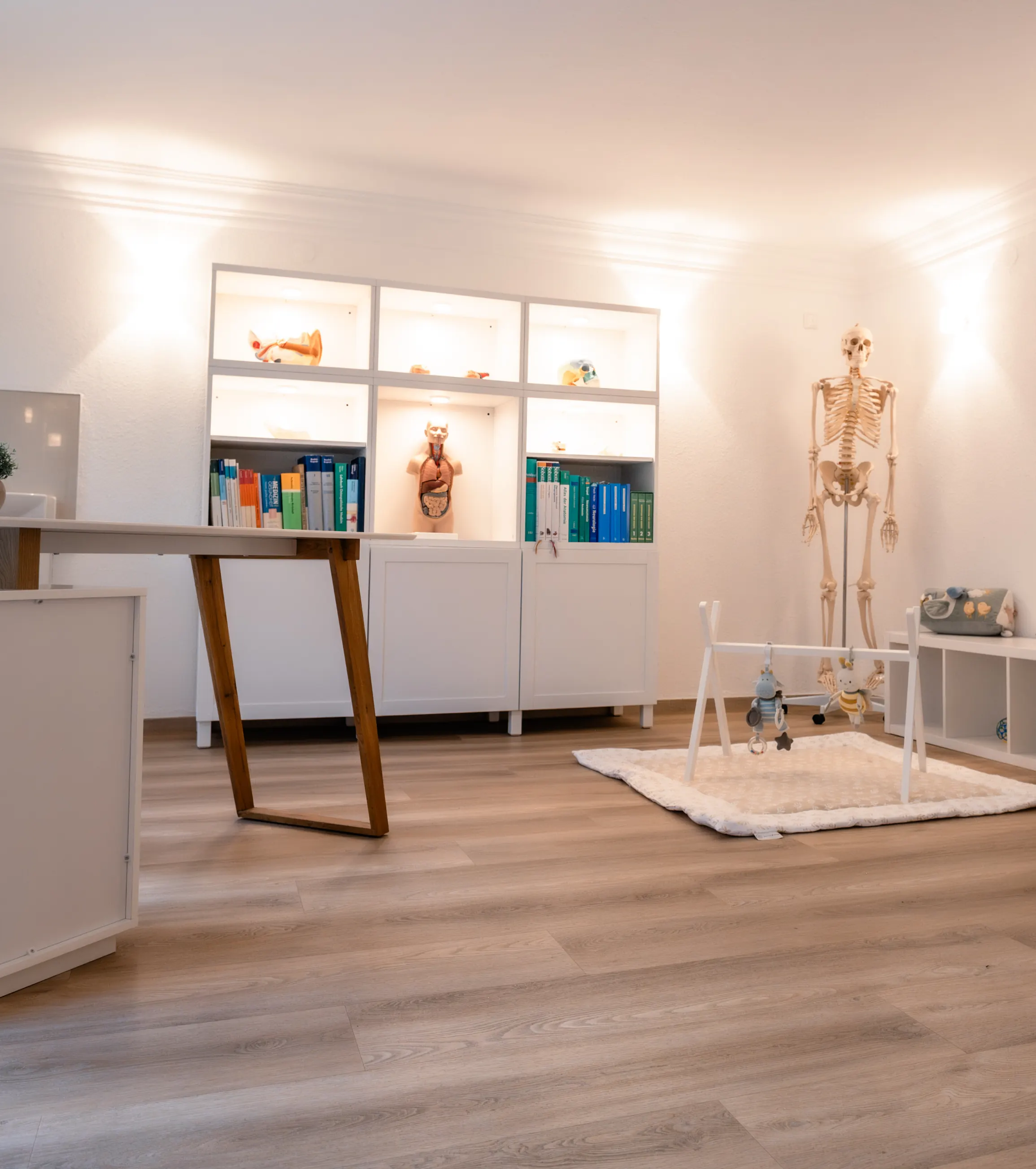 Behandlungsraum im Zentrum Wiegand mit Skelettmodell und Regal, Foto für die Website, madea